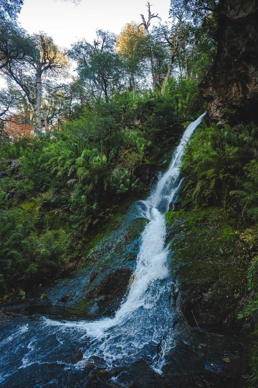 Cascada en bosque de Tolhuaca